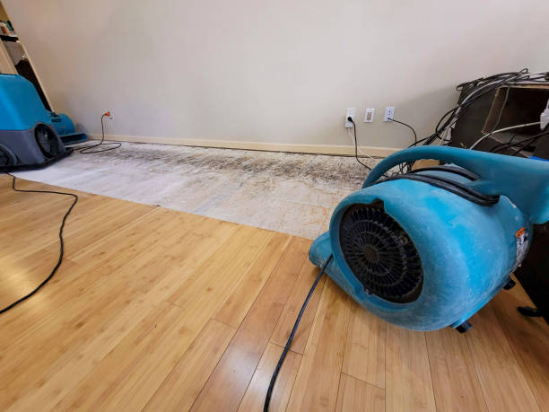 Professional Water Damage Repair technician working in Sneedville, TN